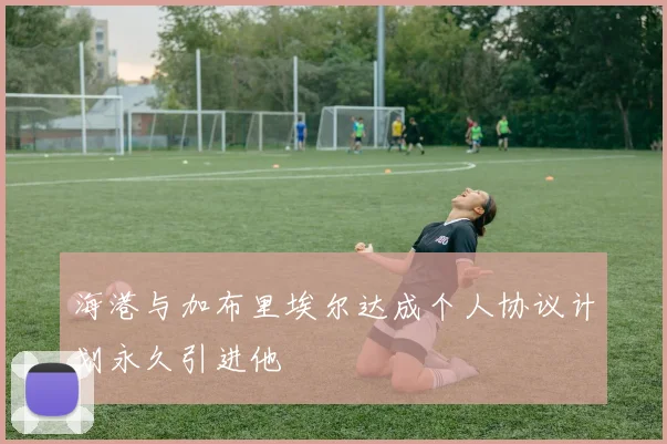 海港与加布里埃尔达成个人协议计划永久引进他